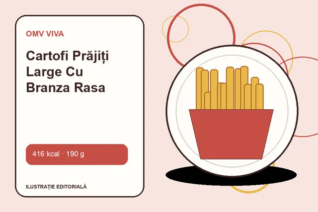 Cartofi Prăjiți Large Cu Branza Rasa de la OMV VIVA — ilustrație editorială unică