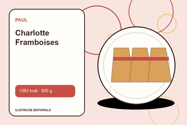 Charlotte Framboises de la Paul — ilustrație editorială unică