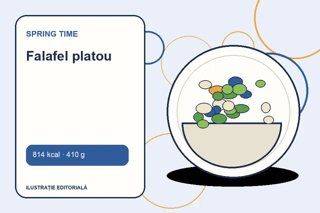 Falafel platou de la Spring Time — ilustrație editorială unică