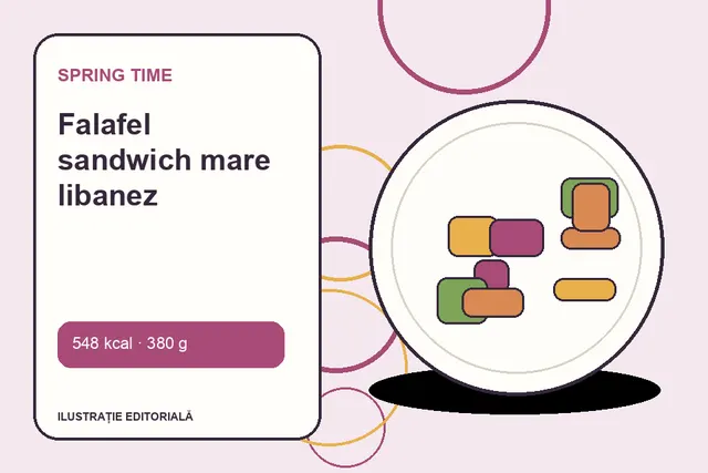 Falafel sandwich mare libanez de la Spring Time — ilustrație editorială unică