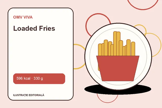 Loaded Fries de la OMV VIVA — ilustrație editorială unică