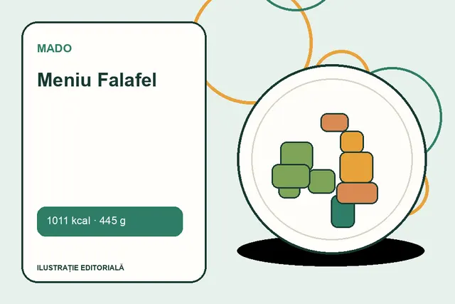 Meniu Falafel de la MADO — ilustrație editorială unică