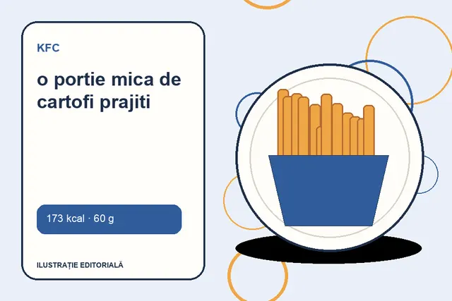 o portie mica de cartofi prajiti de la KFC — ilustrație editorială unică
