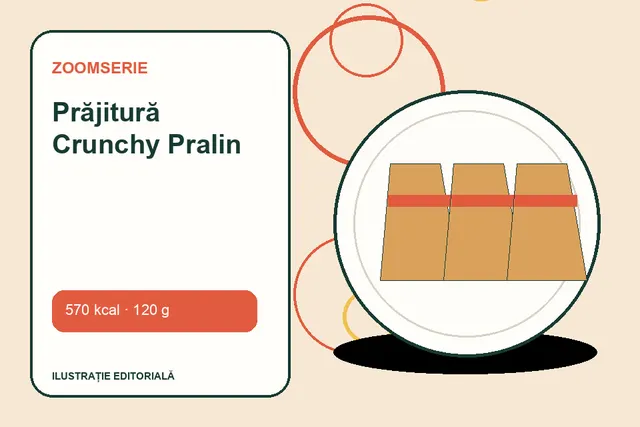 Prăjitură Crunchy Pralin de la Zoomserie — ilustrație editorială unică