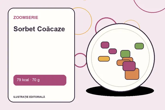 Sorbet Coăcaze de la Zoomserie — ilustrație editorială unică