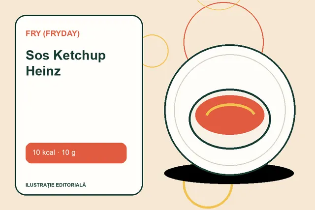 Sos Ketchup Heinz de la FRY (FryDay) — ilustrație editorială unică