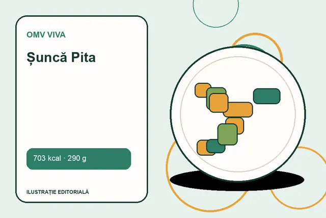 Șuncă Pita de la OMV VIVA — ilustrație editorială unică